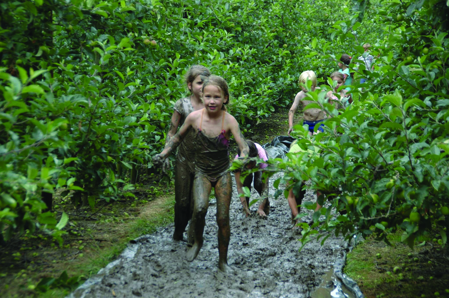 Blotevoetenpad Nederland overzicht per provincie; 37 wandelingen gratis of betaald - Reisliefde Blotevoetenpad Nederland overzicht per provincie; 37 wandelingen gratis of betaald - Reisliefde